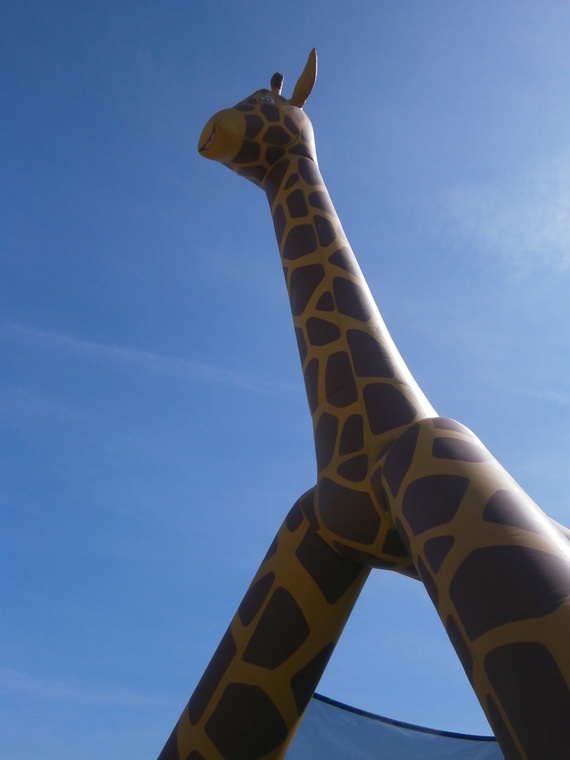girafe1
