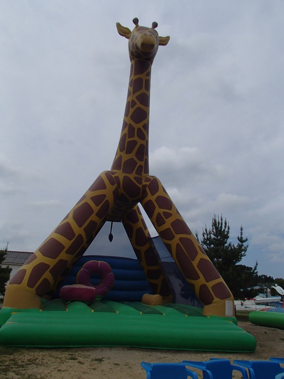 girafe2